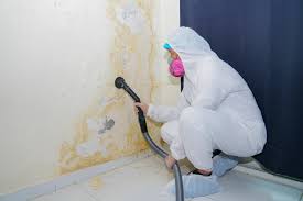 Best Comprehensive Air Testing for Mold Contaminants  in Schofield, WI